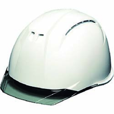 S ＤＩＣ　透明バイザーヘルメット　ＡＰ１１ＥＶＯ－ＣＷ　ＫＰ　白／スモーク