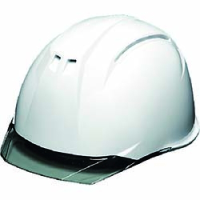 S ＤＩＣ　透明バイザーヘルメット　ＡＡ１１ＥＶＯ－Ｃ　ＫＰ　白／スモーク