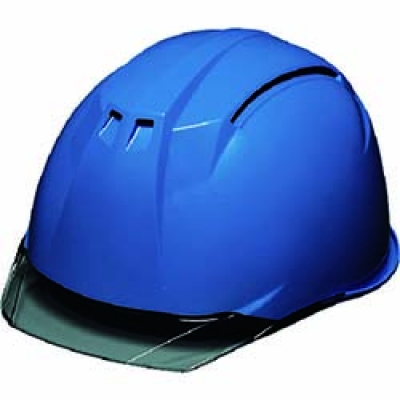 S ＤＩＣ　透明バイザーヘルメット　ＡＡ１１ＥＶＯ－ＣＷ　ＫＰ　スカイブルー／スモーク