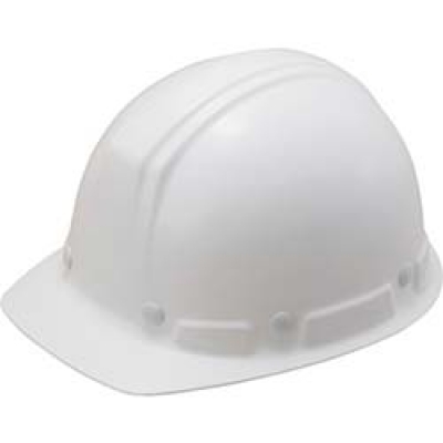 （株）谷沢製作所 109-EP-W1-J タニザワ　ＦＲＰ製軽量型ヘルメット