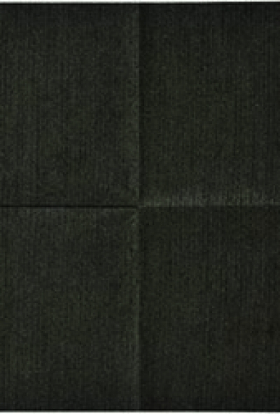 （株）日本緑十字社 354040 緑十字　デンキトールワイピングクロス（静電気除去シート）　２５０×２５０ｍｍ